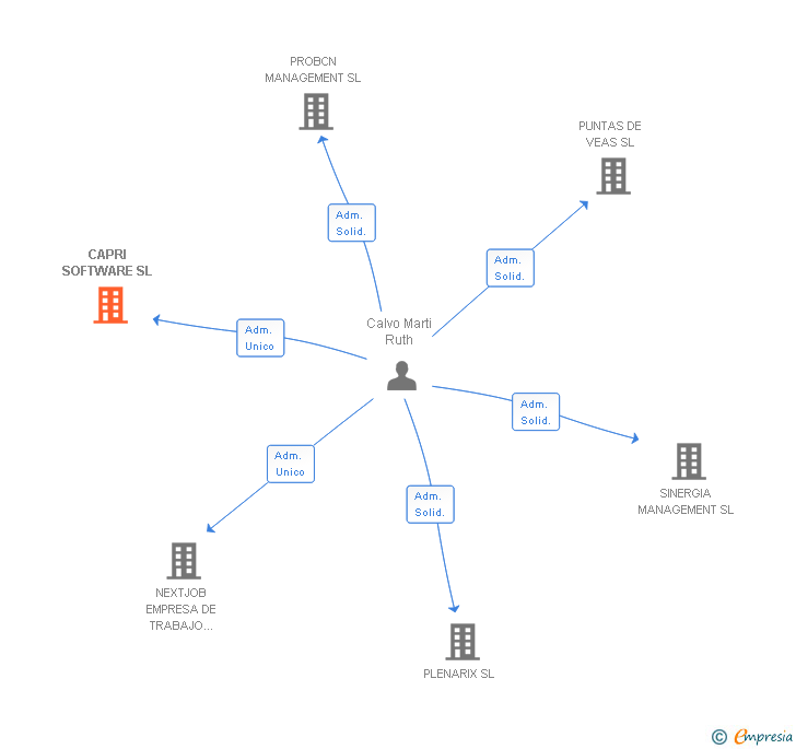 Vinculaciones societarias de CAPRI SOFTWARE SL