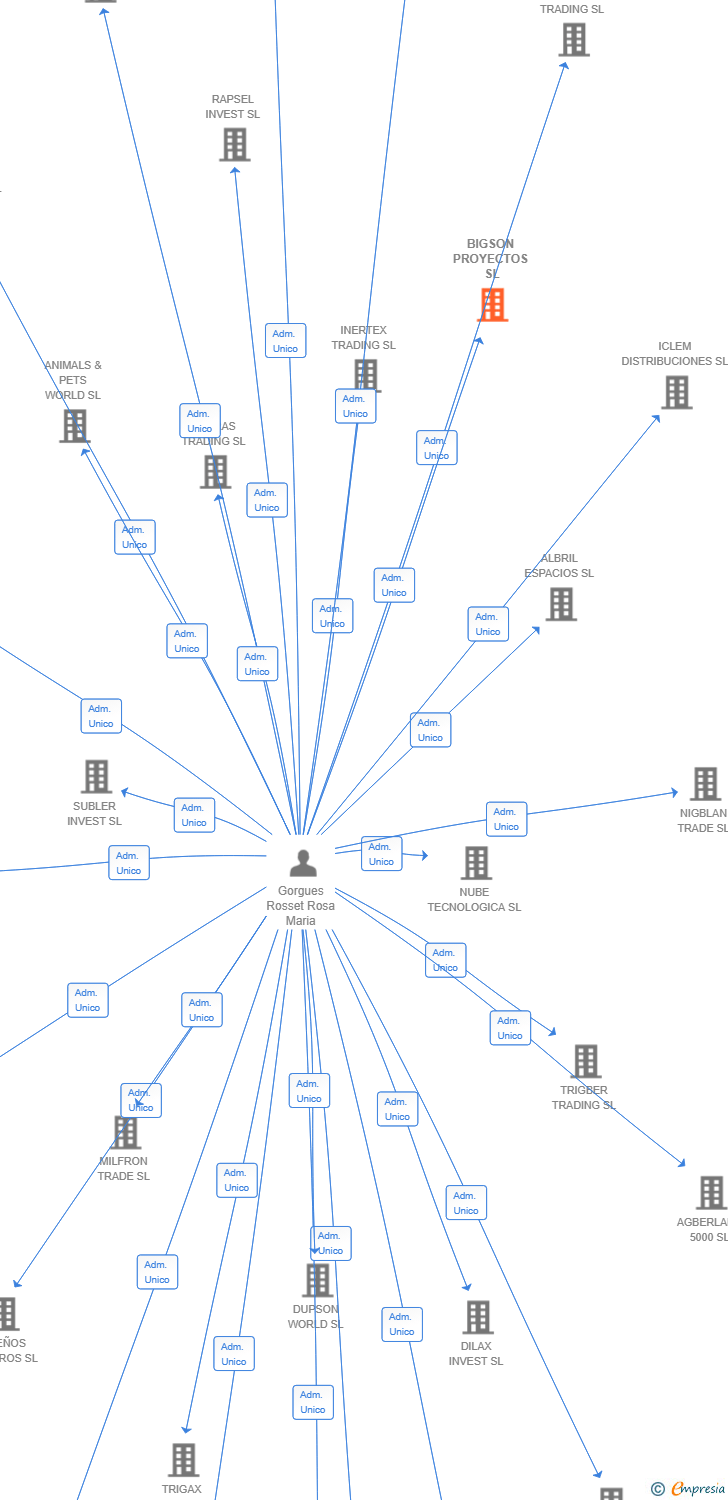 Vinculaciones societarias de BIGSON PROYECTOS SL