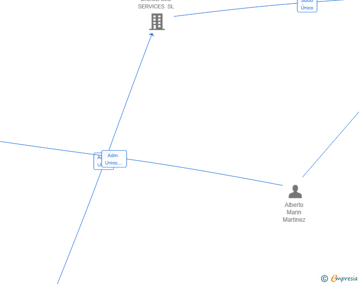 Vinculaciones societarias de TALLEREXPERT SL