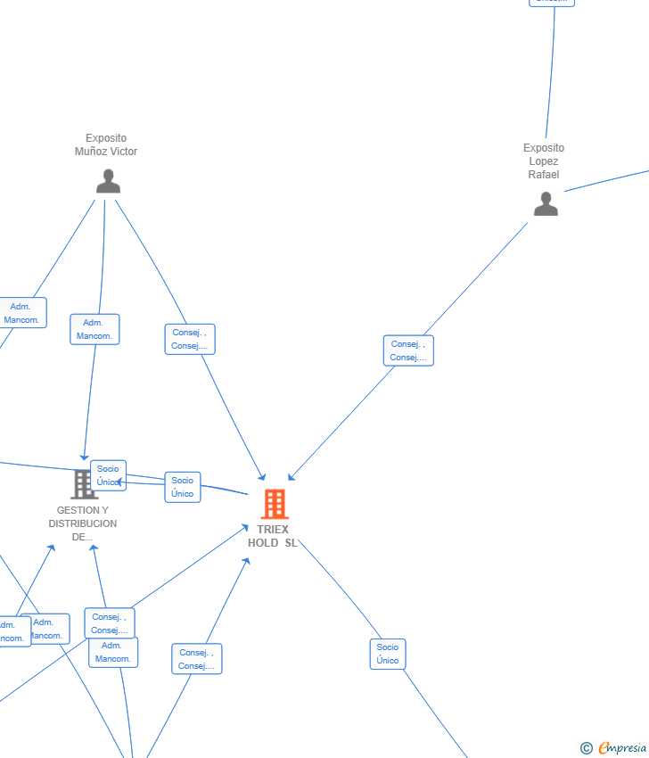 Vinculaciones societarias de TRIEX HOLD SL
