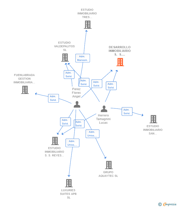 Vinculaciones societarias de DESARROLLO INMOBILIARIO S. S. REYES SL