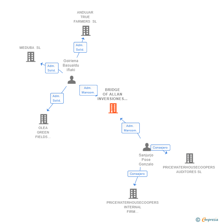 Vinculaciones societarias de BRIDGE OF ALLAN INVERSIONES SL