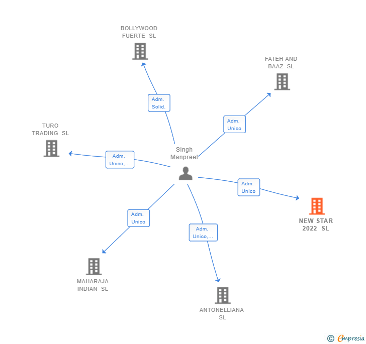 Vinculaciones societarias de NEW STAR 2022 SL