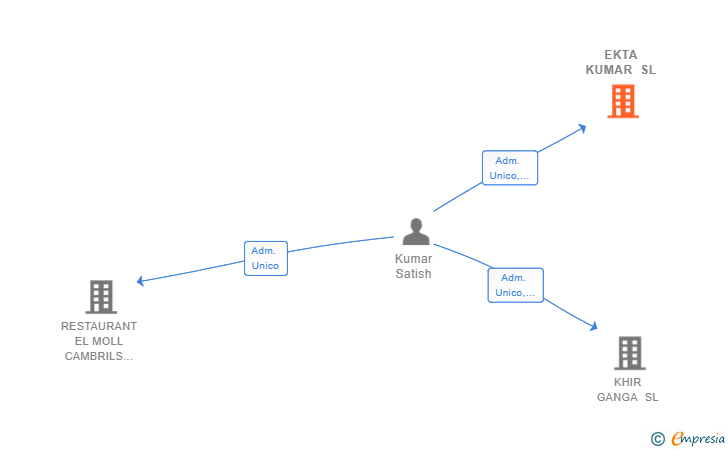 Vinculaciones societarias de EKTA KUMAR SL
