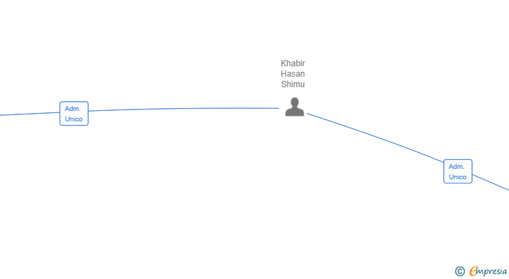 Vinculaciones societarias de FIBERSONIC SL
