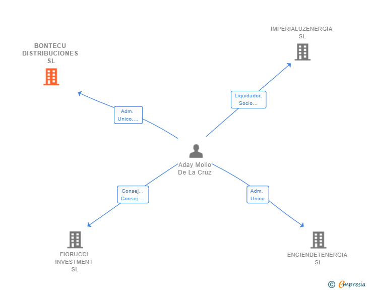 Vinculaciones societarias de BONTECU DISTRIBUCIONES SL