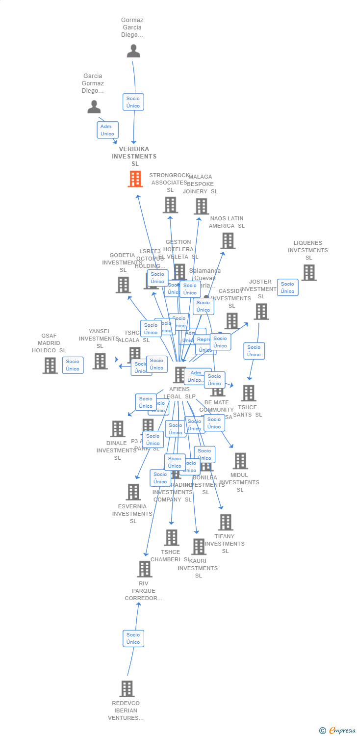 Vinculaciones societarias de VERIDIKA INVESTMENTS SL