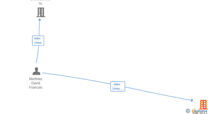 Vinculaciones societarias de DM SELLER SL