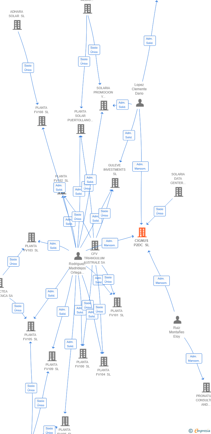 Vinculaciones societarias de CIGNUS P2DC SL
