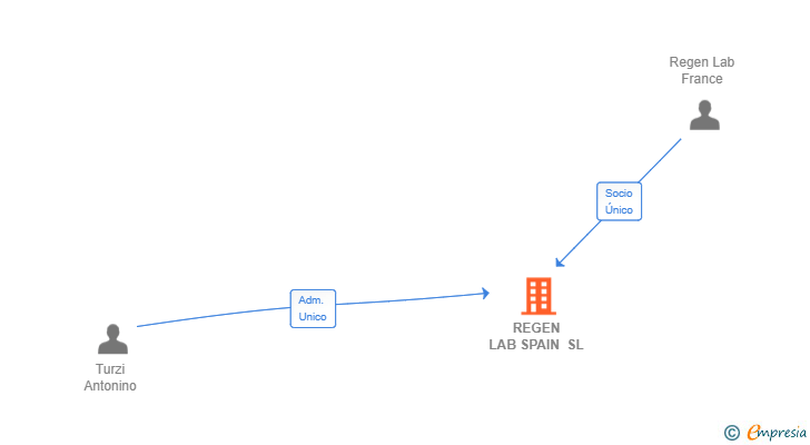Vinculaciones societarias de REGEN LAB SPAIN SL