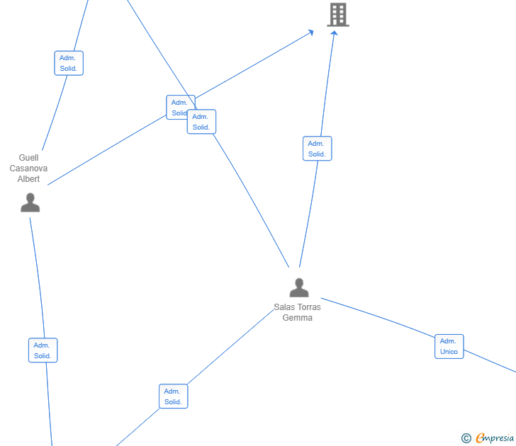 Vinculaciones societarias de VORTEX STREAMS SL