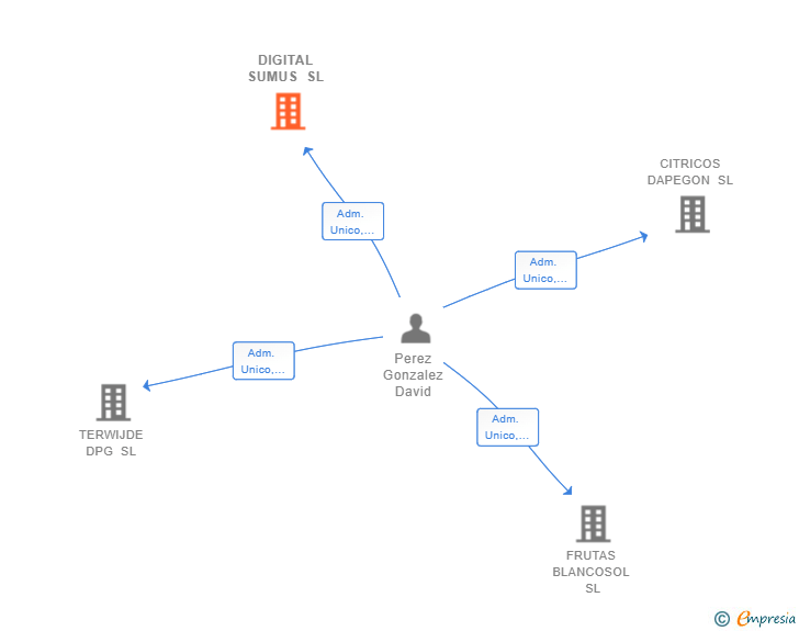 Vinculaciones societarias de DIGITAL SUMUS SL