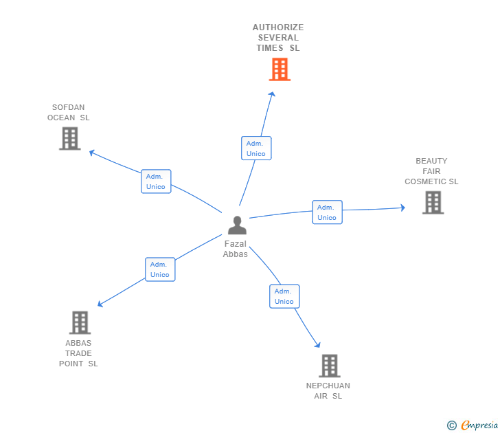 Vinculaciones societarias de AUTHORIZE SEVERAL TIMES SL