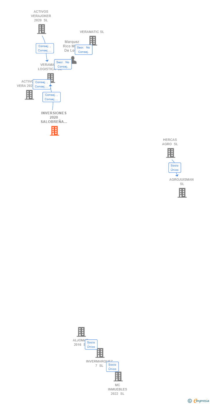 Vinculaciones societarias de INVERSIONES 2020 SALOBREÑA SL