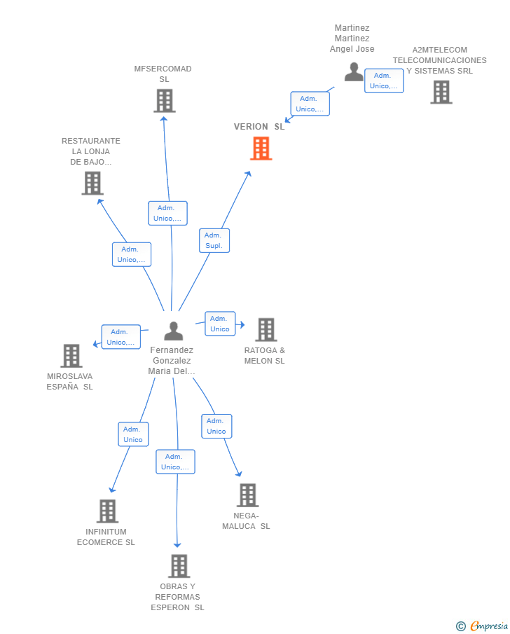 Vinculaciones societarias de VERION SL