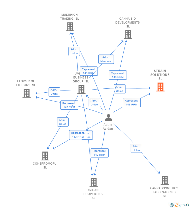 Vinculaciones societarias de STRAIN SOLUTIONS SL
