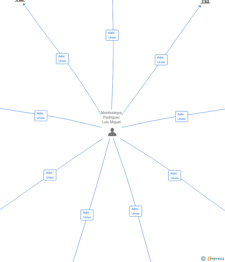 Vinculaciones societarias de PROLINGUA CAPITAL SL