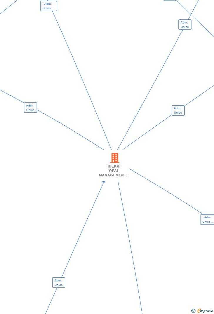 Vinculaciones societarias de RIEKKI OPAL MANAGEMENT SL
