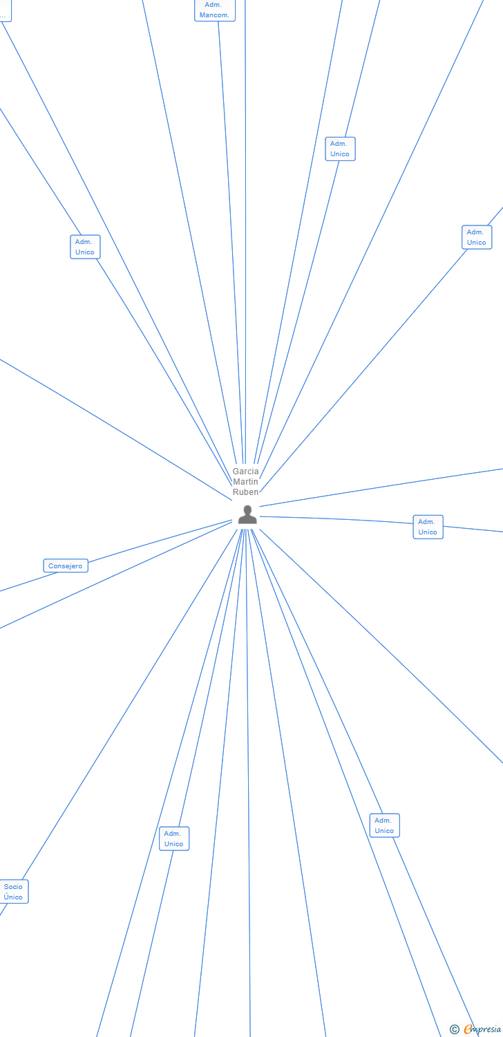Vinculaciones societarias de OIL POWER LEVANTE SL