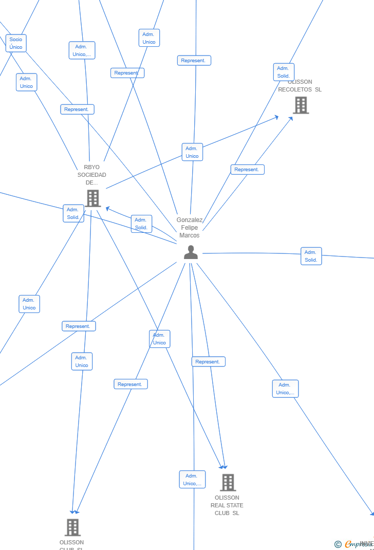 Vinculaciones societarias de INVERSIONES NUREK 2024 SL