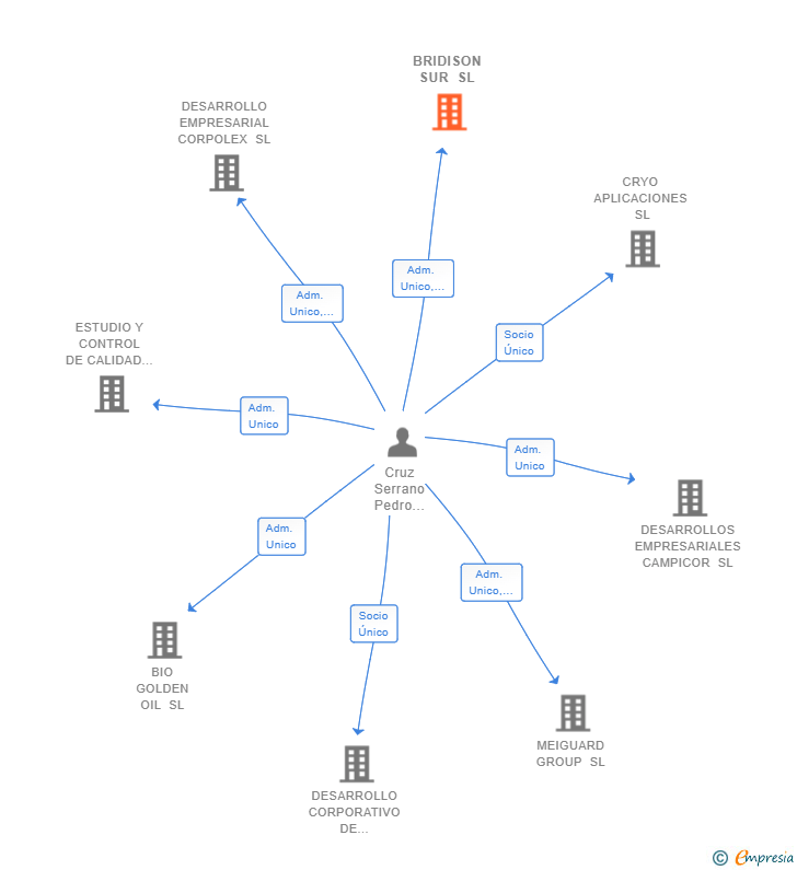 Vinculaciones societarias de BRIDISON SUR SL
