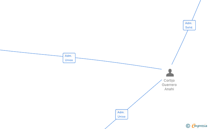 Vinculaciones societarias de DAMA GESTION ASISTENCIAL SL