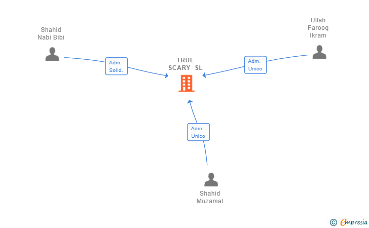 Vinculaciones societarias de TRUE SCARY SL