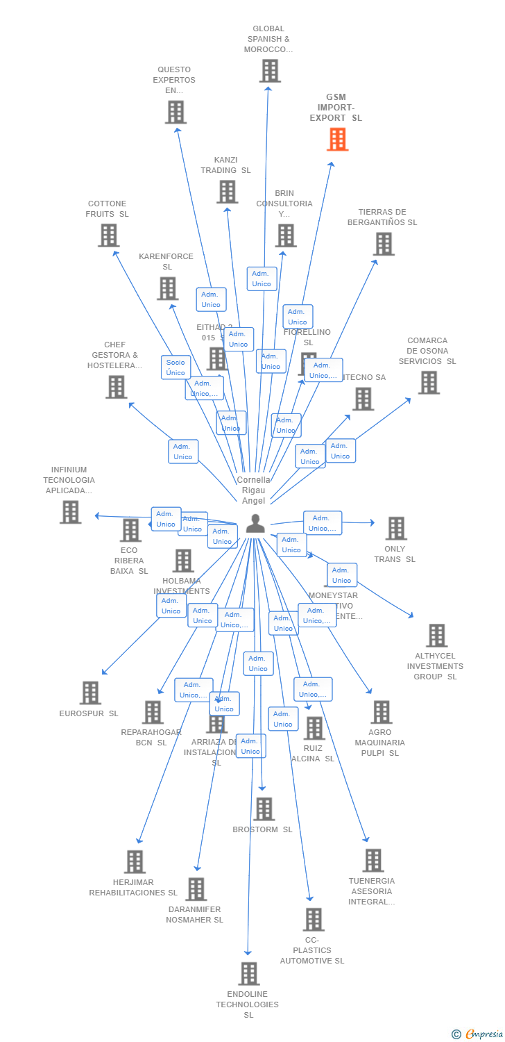 Vinculaciones societarias de GSM IMPORT-EXPORT SL