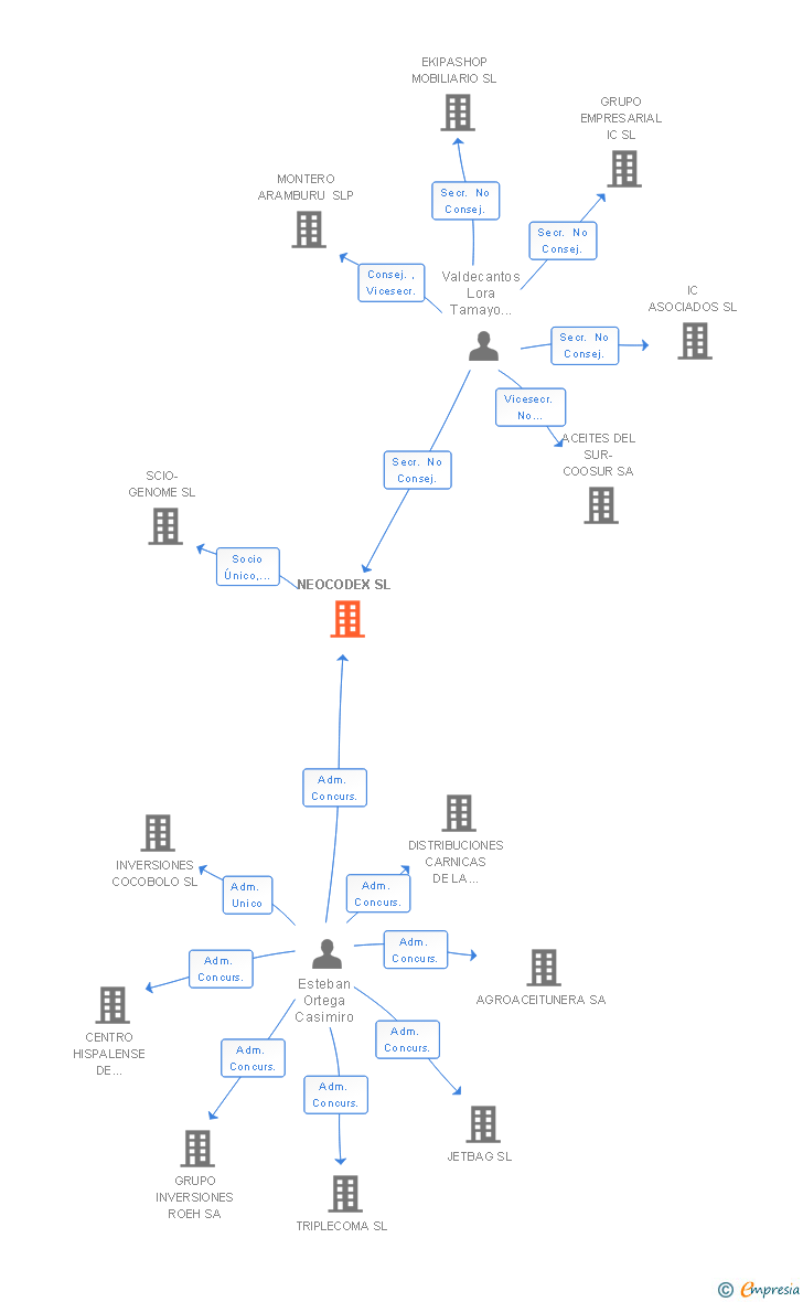 Vinculaciones societarias de NEOCODEX SL