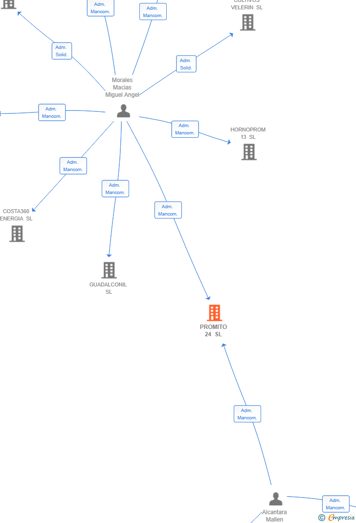 Vinculaciones societarias de PROMITO 24 SL