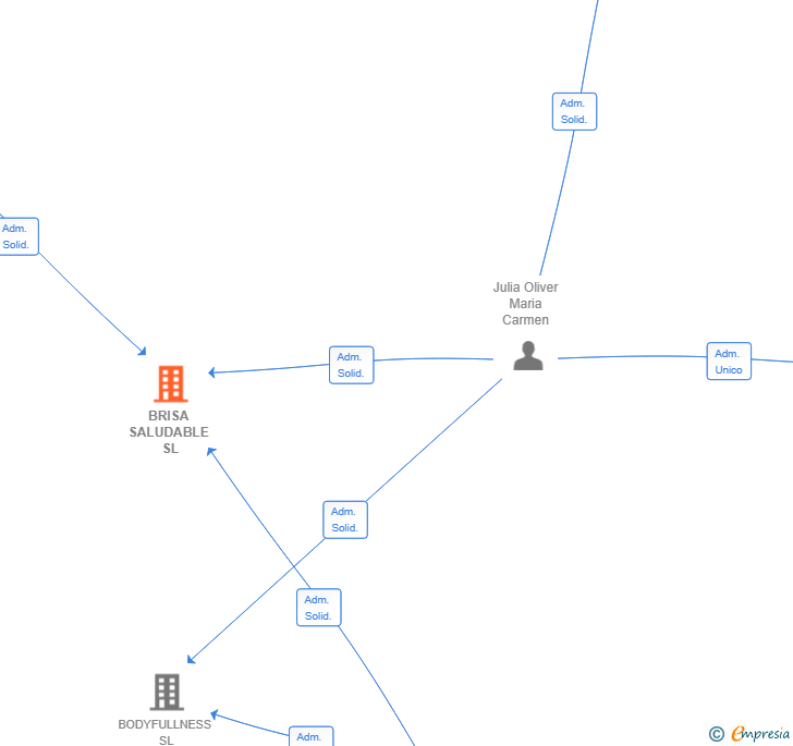 Vinculaciones societarias de BRISA SALUDABLE SL (EXTINGUIDA)
