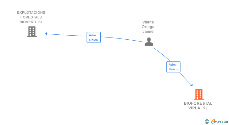 Vinculaciones societarias de BIOFORESTAL VIPLA SL