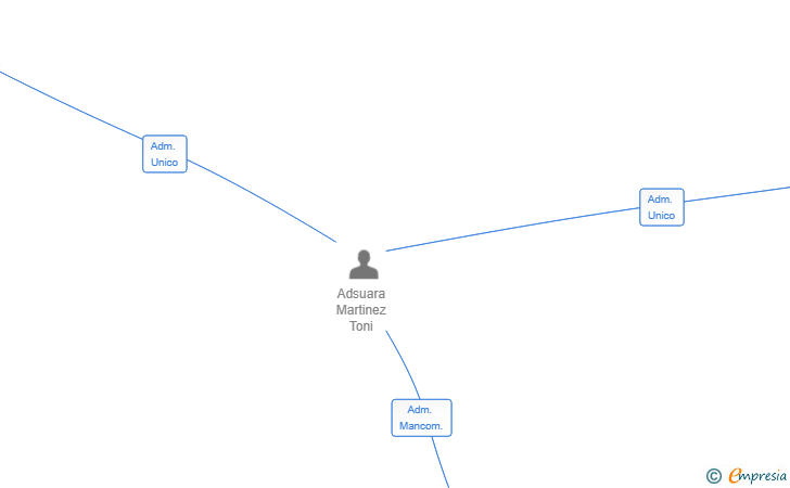 Vinculaciones societarias de BESTIOLLAR GROUP SL