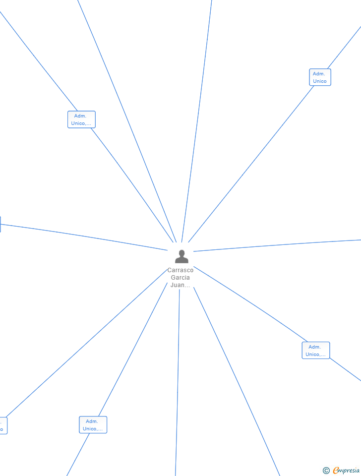 Vinculaciones societarias de LAIFLAW SL