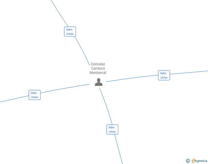 Vinculaciones societarias de LLEGOAN INVERSIONES SL