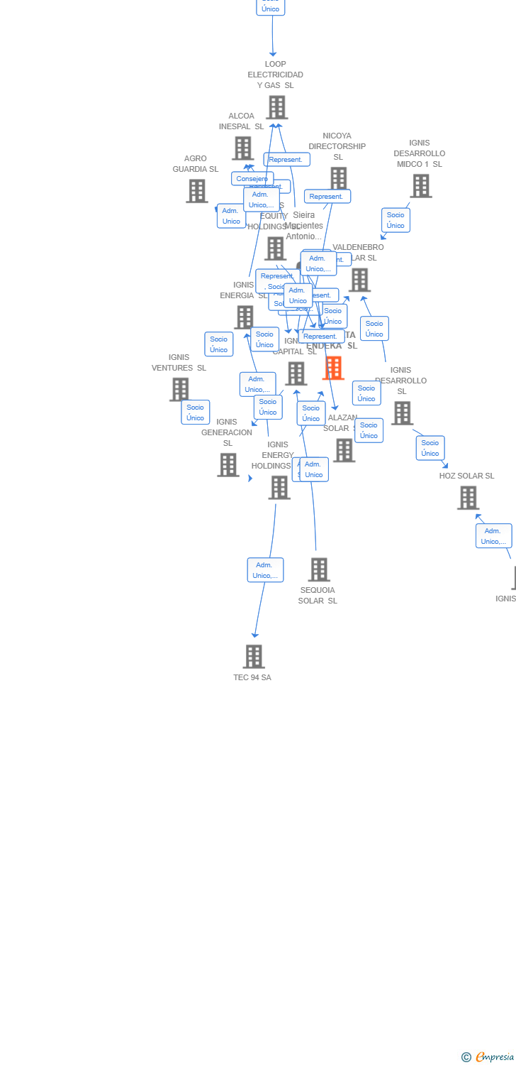 Vinculaciones societarias de IGNIS DATA ENDEKA SL