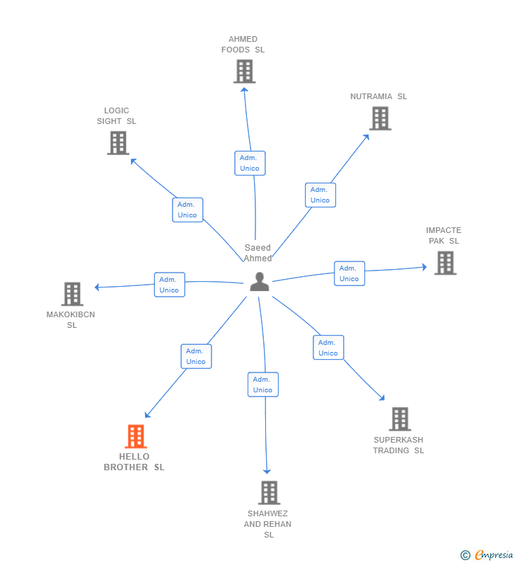 Vinculaciones societarias de HELLO BROTHER SL