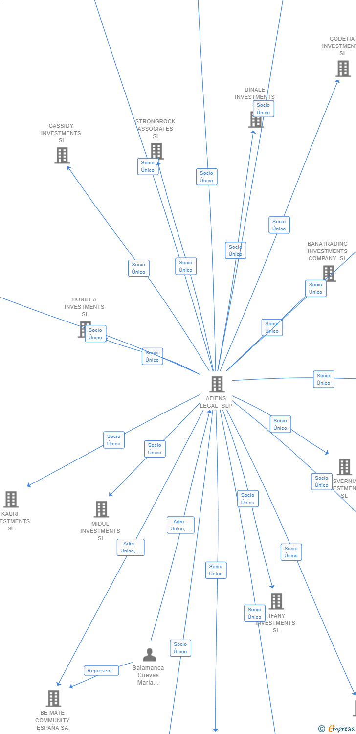 Vinculaciones societarias de TINOS INVESTMENTS SL