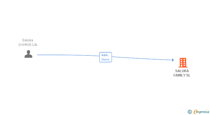 Vinculaciones societarias de SALUKA FAMILY SL
