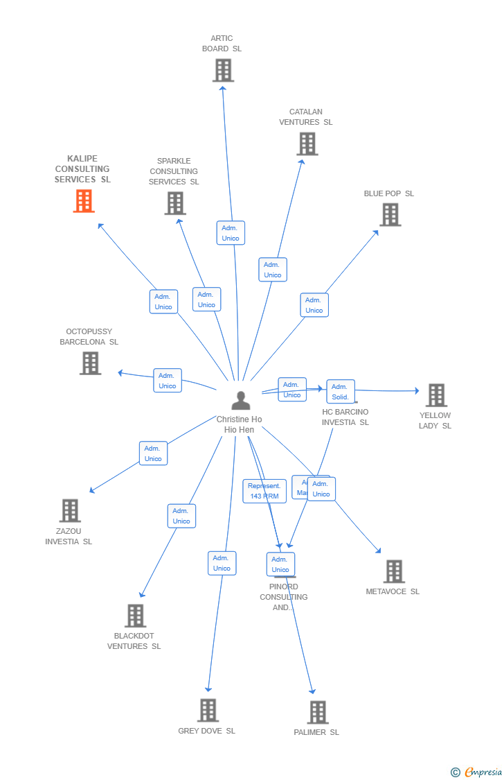 Vinculaciones societarias de GM FEES SL