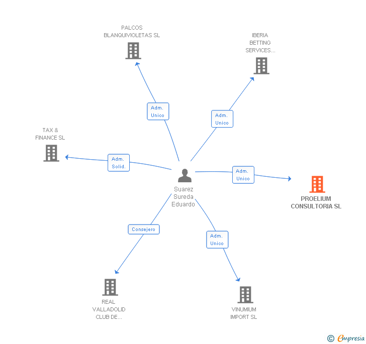 Vinculaciones societarias de PROELIUM CONSULTORIA SL