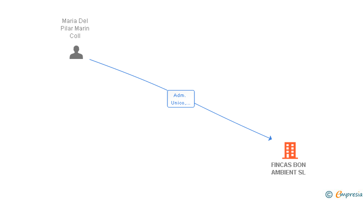 Vinculaciones societarias de FINCAS BON AMBIENT SL