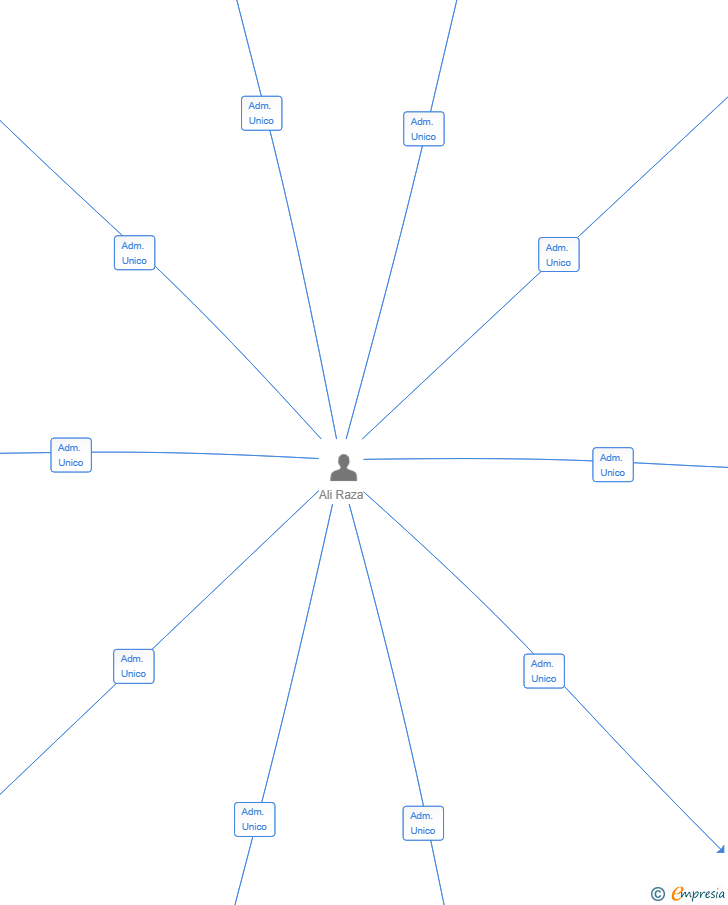 Vinculaciones societarias de SUPER CARNICERIA 786 SL