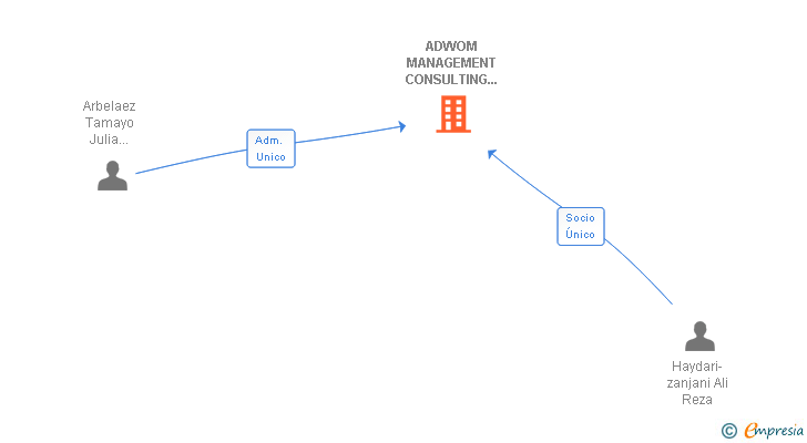 Vinculaciones societarias de ADWOM MANAGEMENT CONSULTING PROVIDER SL