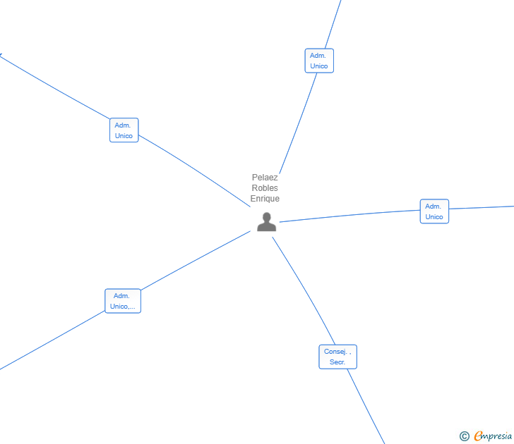 Vinculaciones societarias de REBIRTH GLOBAL SERVICES SL