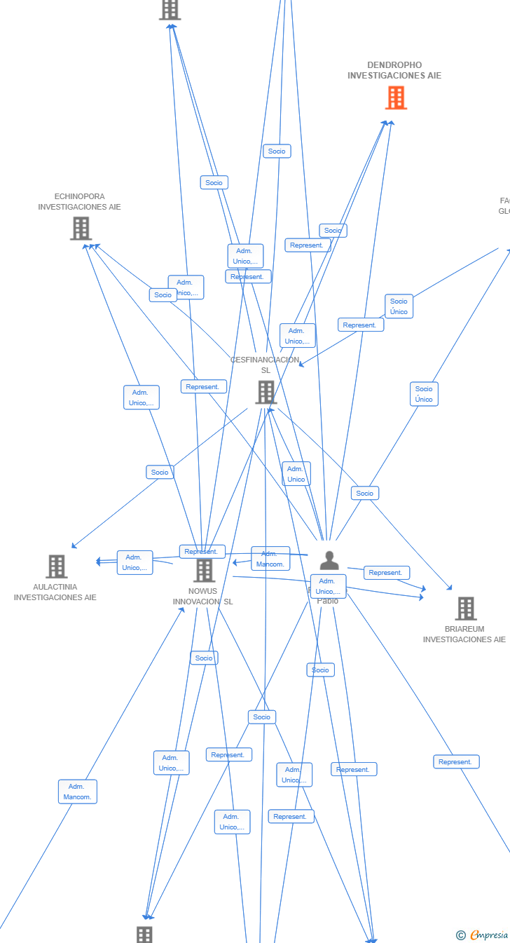 Vinculaciones societarias de DENDROPHO INVESTIGACIONES AIE