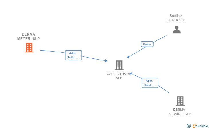 Vinculaciones societarias de DERMA MEYER SLP