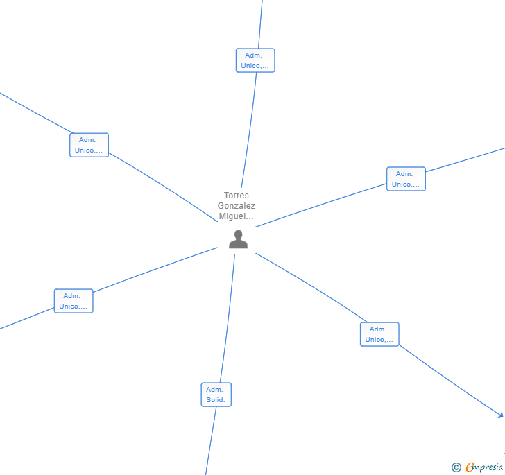Vinculaciones societarias de GONTOMI 2022 SL