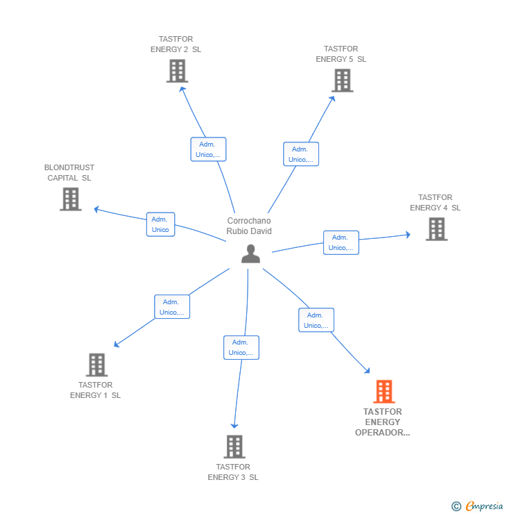 Vinculaciones societarias de TASTFOR ENERGY OPERADOR SL