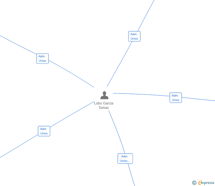 Vinculaciones societarias de HOSTELERIA Y SERVICIOS VMS SL